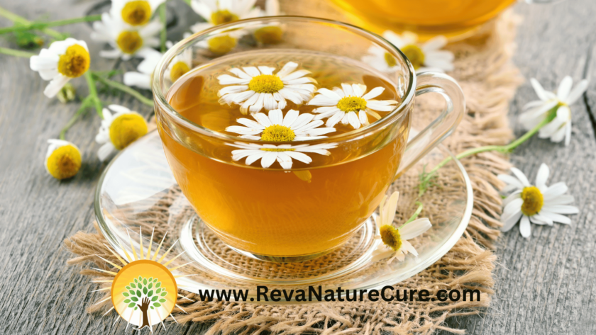 Chamomile  Common Herbs reva nature cure naturopathy