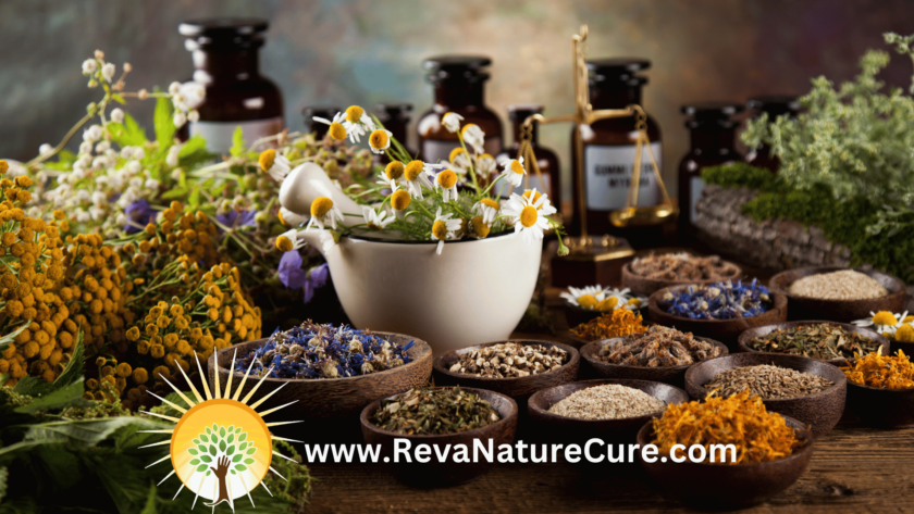  Herbal Medicine by Naturopathy reva nature cure